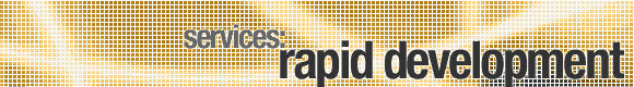 services_rapid_development